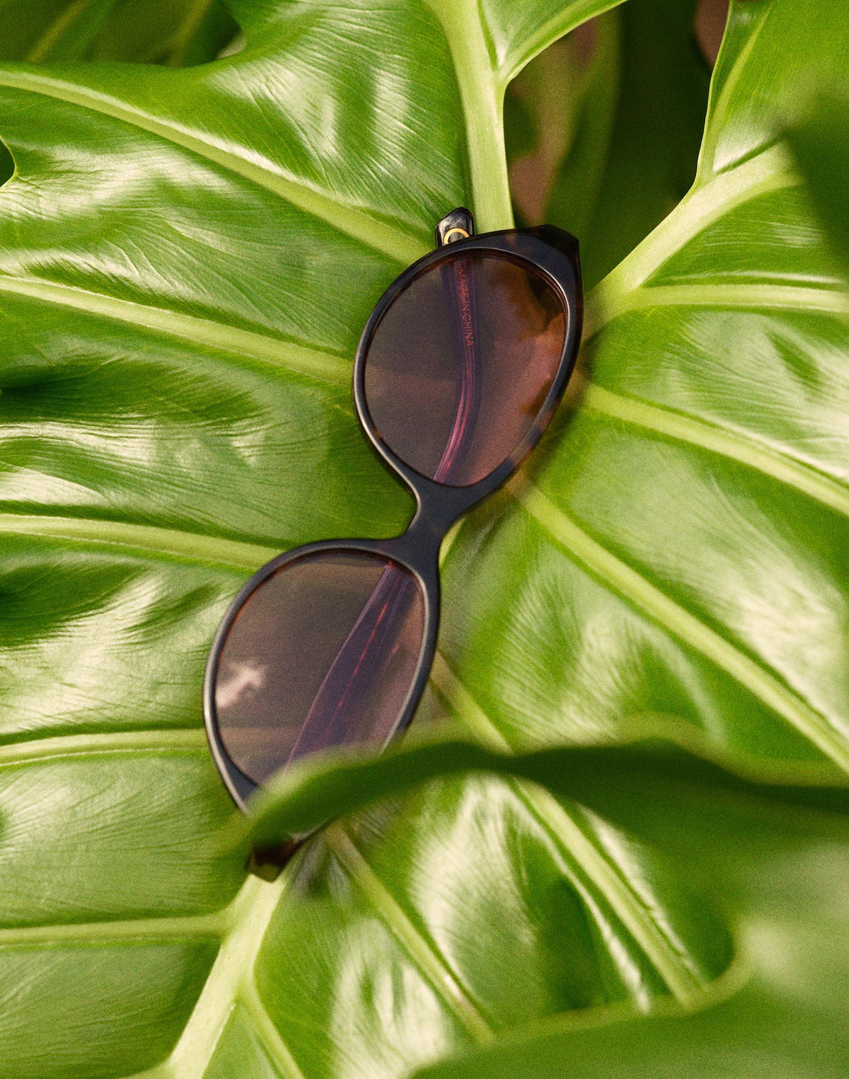 The Solina Oval Sunglasses Whisky Tort | Madewell Exclusive