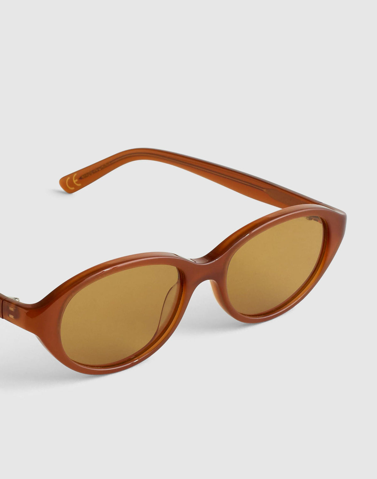 The Solina Oval Sunglasses Bronzed Clay | Madewell Latest