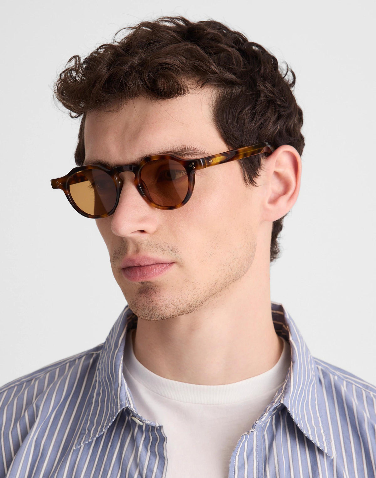 Wooster Sunglasses Classic Tort | Madewell New