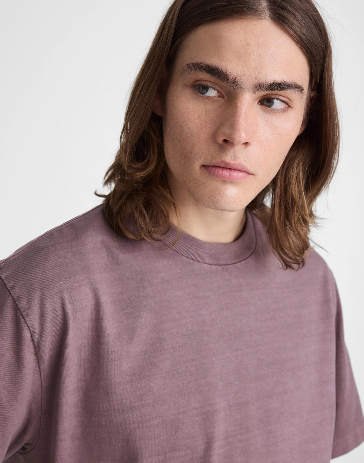 The Vintage Tee Chalked Fig | Madewell Essential