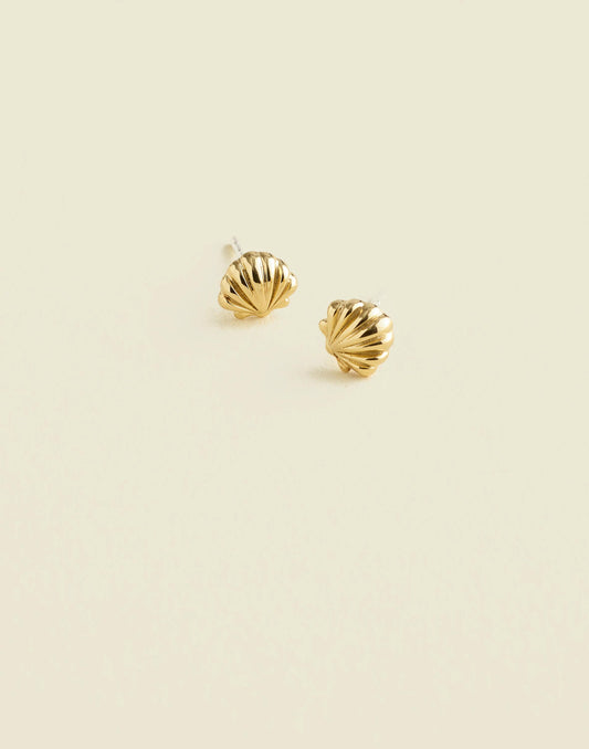 Demi-Fine Shell Stud Earrings 14k Gold | Madewell Essential