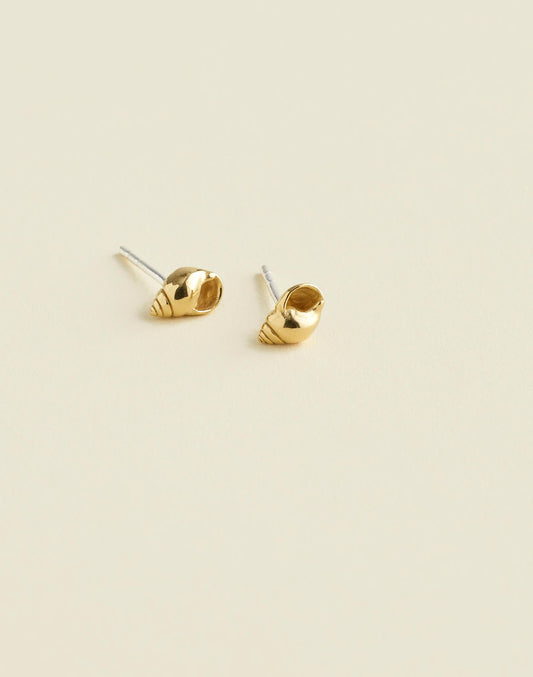 Demi-Fine Shell Stud Earrings 14k Gold | Madewell Everyday